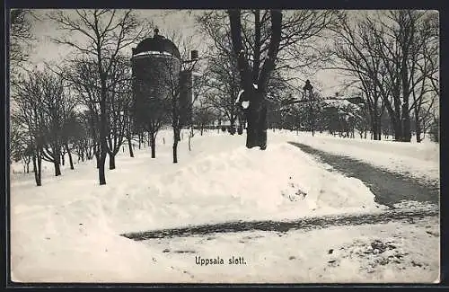 AK Uppsala, Uppsala slott