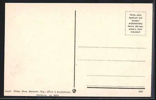 AK Djursholms-Ösby, Ansicht aus der Vogelschau