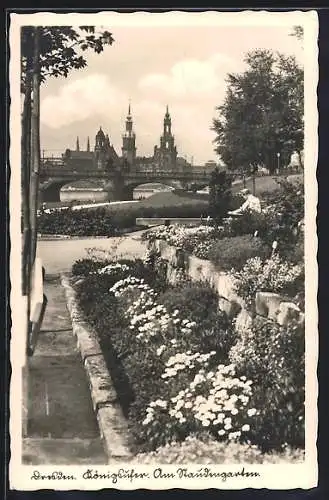 AK Dresden, Königsufer, Partie am Staudengarten