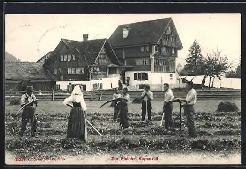 AK Appenzell, Zur Bleiche, Einwohner arbeiten auf dem Feld