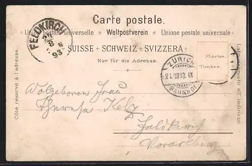 Lithographie Zürich, Ortsansicht von oben, Postkarten schreibt die ganze Welt, sie sparen Zeit und Zeit ist Geld!