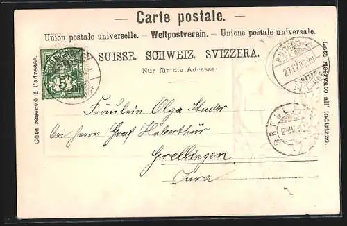 Präge-AK Burgdorf, Teilansicht und Rahmen mit Schweizer Wappen und Edelweiss