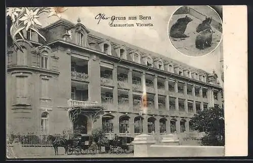 AK Bern, Sanatorium Victoria, Bärengraben