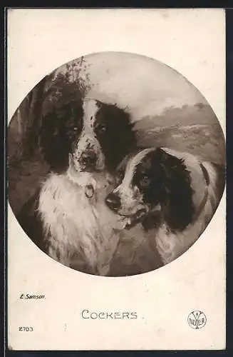 AK Zwei Cocker Spaniels