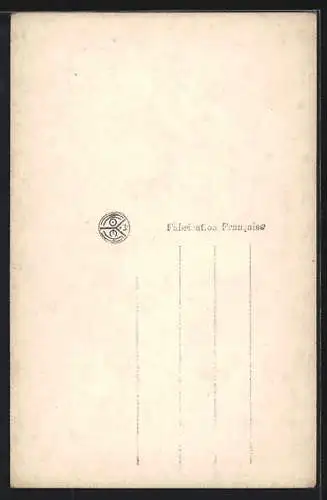 AK Zwei Cocker Spaniels