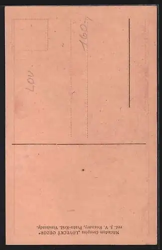 Künstler-AK Kaninchen am Rand einer Hecke