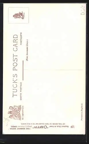 AK Affen auf einer Schaukel