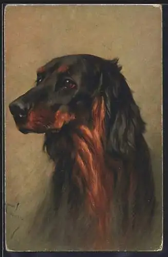 Künstler-AK Portrait eines Irish Setters