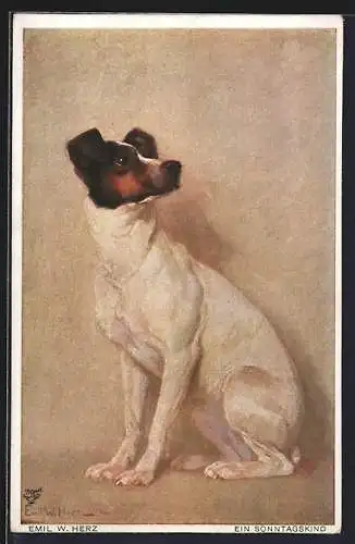 Künstler-AK Ein Sonntagskind, Sitzender Terrier