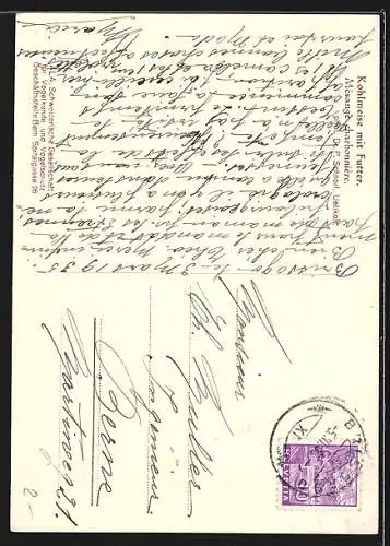 AK Kohlmeise mit einem gefangenen Insekt