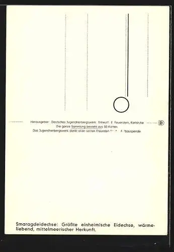 AK Smaragdeidechse auf einem Stein, No. 39, Geschützte Tiere