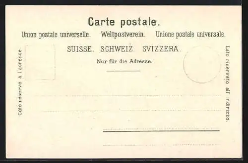 Lithographie Schwägalp, Gasthaus Säntis und Meteorolische Station