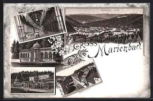 Lithographie Marienbad, Kaiserstrasse, Kreuzbrunnen-Neue Colonade, Waldquelle