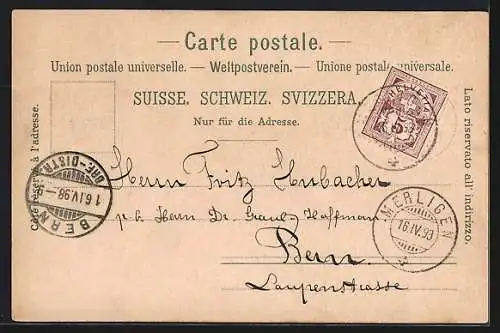 Lithographie Interlaken, Blick auf die Jungfrau, Edelweiss-Passepartout