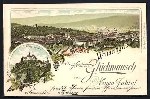 Lithographie Winterthur, Panoramablick auf die Stadt, Schloss Kyburg