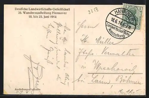 AK Hannover, 27. Wander-Ausstellung 1914, Rinder im Ring