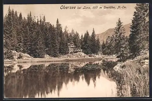 AK Obersee bei Lunz, Uferpartie mit Bergen