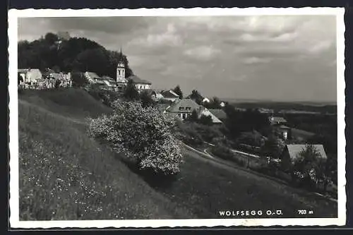 AK Wolfsegg /O.-Ö., Teilansicht