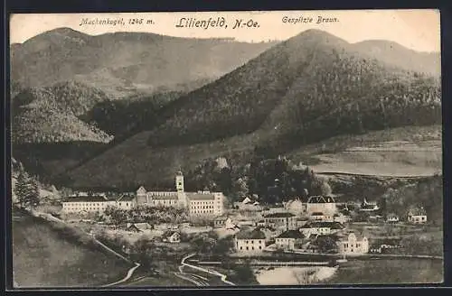 AK Lilienfeld /N.-Oe., Teilansicht, Gespitze Braun und Muckenkogel