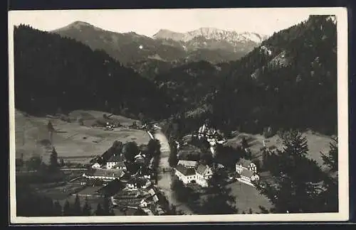 AK Mürzsteg a. d. Mürz, Teilansicht mit Brücke