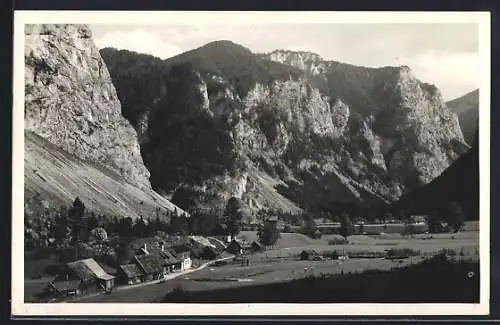 AK Weichselboden, Ortspartie mit Bergen