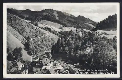 AK Maria Seesal /N.-Do., Ortsansicht mit Gnadenkirche