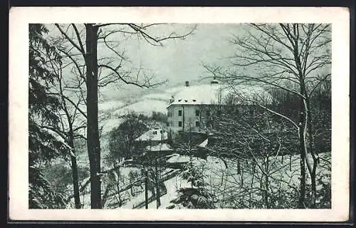 AK Schwanberg, Schloss im Winter