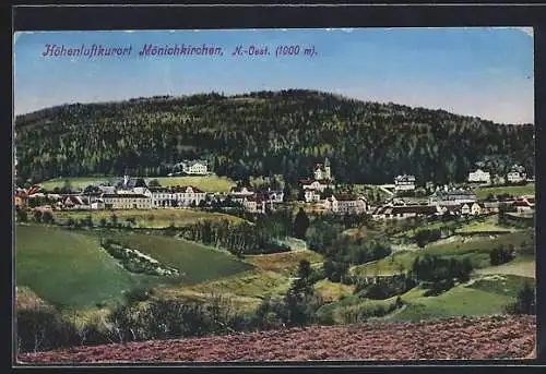 AK Mönichkirchen /N.-Oest., Ortsansicht aus der Vogelschau