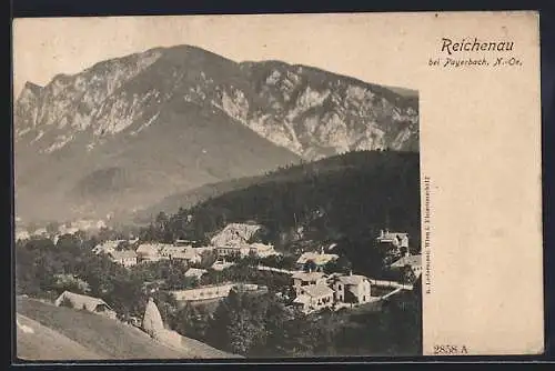 AK Reichenau bei Payerbach, Ortsansicht mit Bergpanorama