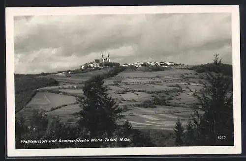 AK Maria Taferl /N.-Ö., Ortsansicht aus der Ferne