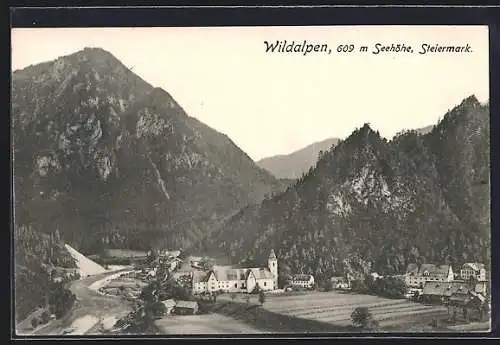 AK Wildalpen, Ortsansicht mit Bergmassiv