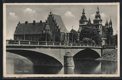 AK Posen / Poznan, Blick von der Brücke zum Dom