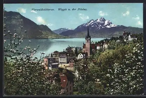 AK Weggis, Vierwaldstättersee und Pilatus