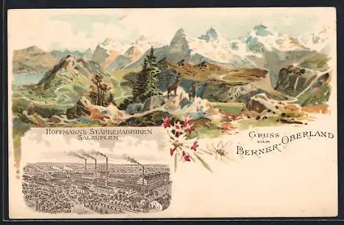 Lithographie Salzuflen, Hoffmann`s Stärkefabriken, Alpenkette im Berner-Oberland