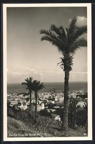 AK Santa Cruz de Tenerife, Panorama mit Palmenblick