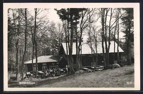 AK Peilsteinhaus, Waldpartie mit Berghütte