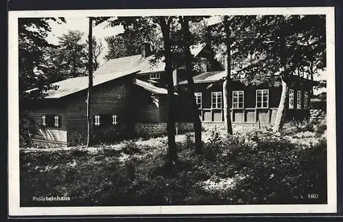 AK Peilsteinhaus, Waldpartie mit Berghütte