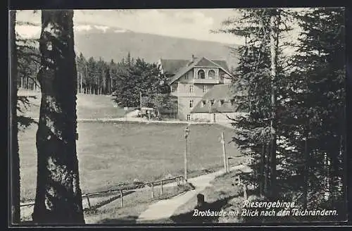 AK Brotbaude im Riesengebirge, Blick nach den Teichrändern