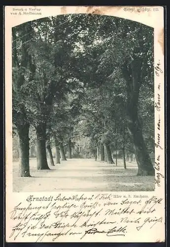 AK Arnstadt, Allee nach dem Kurhaus