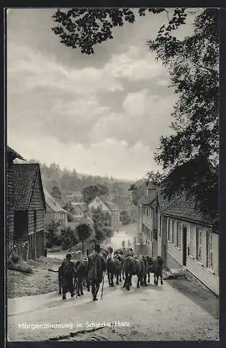 AK Schierke /Harz, Strassenpartie mit Pferden am Morgen