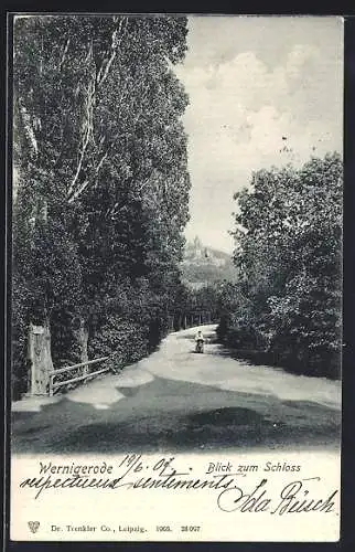 AK Wernigerode, Strassenpartie mit Blick zum Schloss