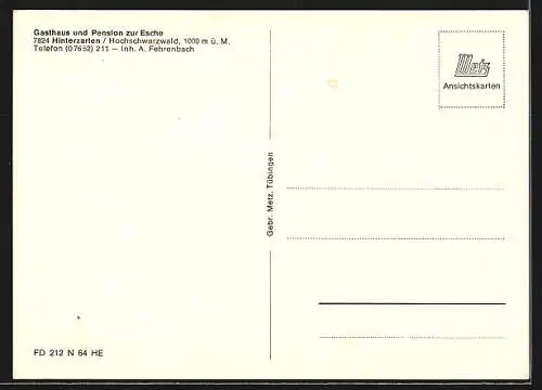 AK Hinterzarten /Schwarzwald, Gasthaus und Pension zur Esche, Inh. A. Fehrenbach