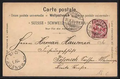 Lithographie Zürich, Totalansicht mit See und Schneebergen