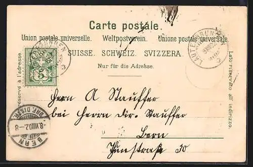 Lithographie Lauterbrunnen, Ortsansicht mit Bergen