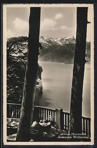 AK Brunnen /Axenstrasse, Seeterrasse Wolfsprung mit Ausblick