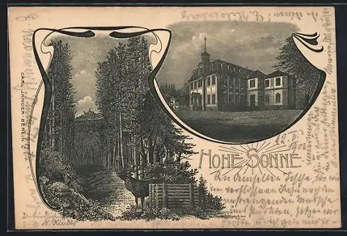 Lithographie Eisenach / Thüringen, Hotel Hohe Sonne, Röhrender Rothirsch