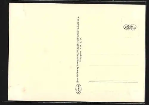 AK Landberg a. Lech, Totalansicht vom Flugzeug aus