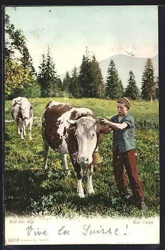 AK Kühe auf der Alp