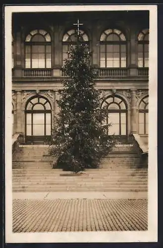 Foto-AK Weimar / Thüringen, Weihnachtsbaum vor dem Museum