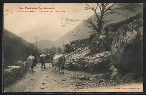 AK Vallée d`Aston, Fontaine des Fromages avec troupeau de vaches sur le chemin